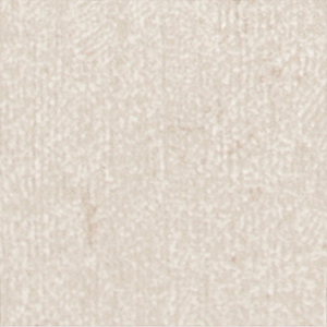 Main Wallboard: Shoreline